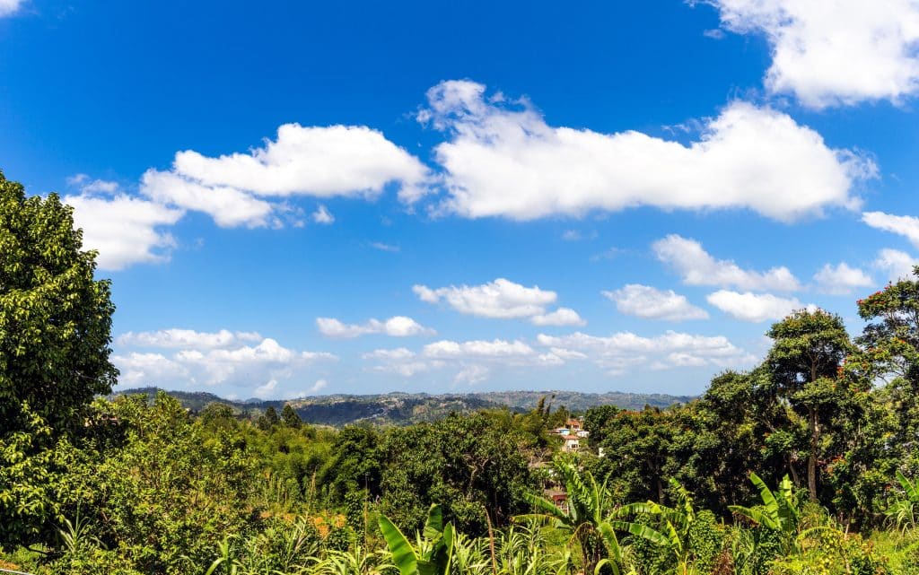 Groene heuvels en blauwe lucht tijdens je roadtrip Jamaica