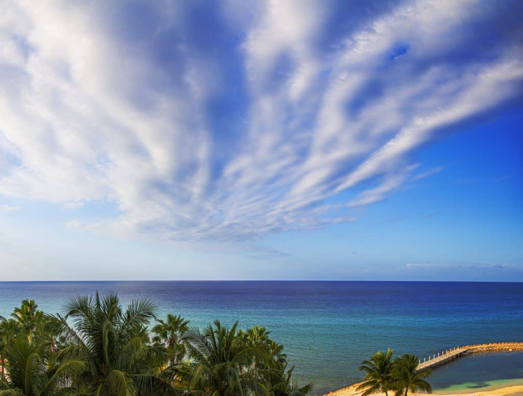 Zeezicht met palmbomen in Jamaica