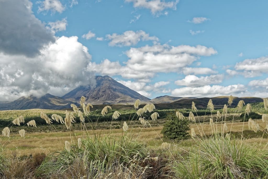 Uitzicht op vulkaanlandschap Tongariro in Nieuw-Zeeland