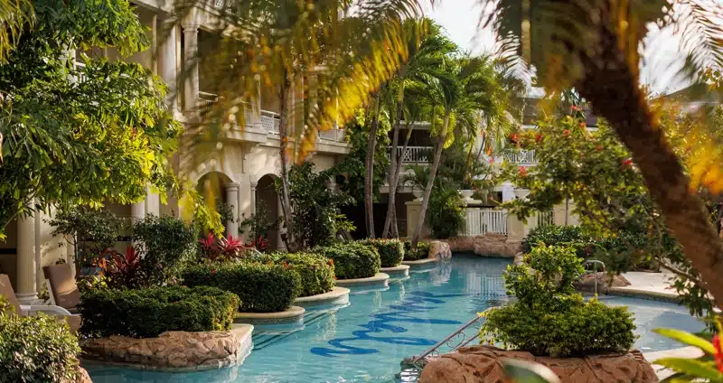 Zwembad tussen tropisch groen bij resort Jamaica