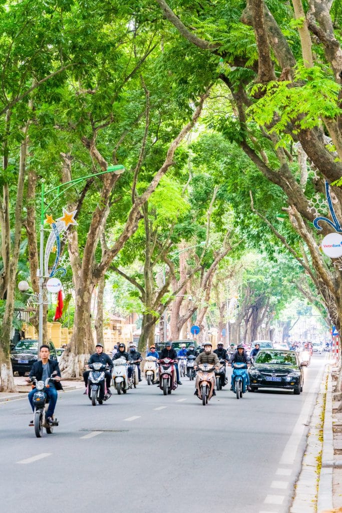 Scooters en auto's onder bomen in Vietnam