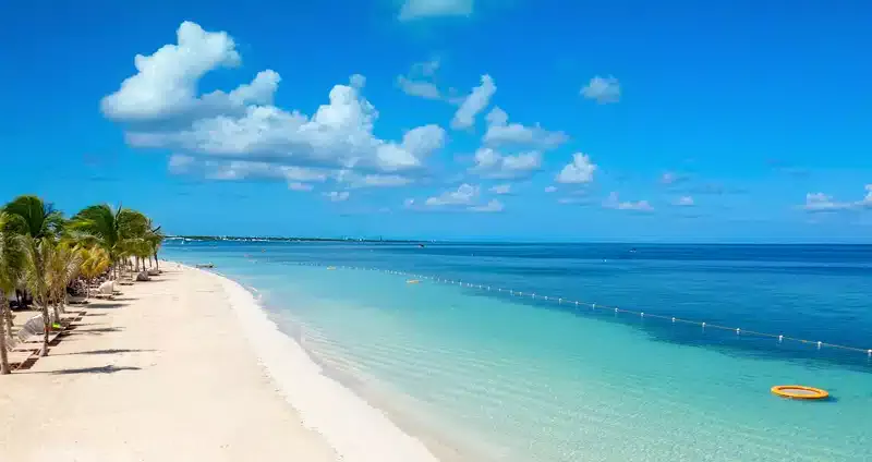 Strand met palmbomen en helder water in Jamaica