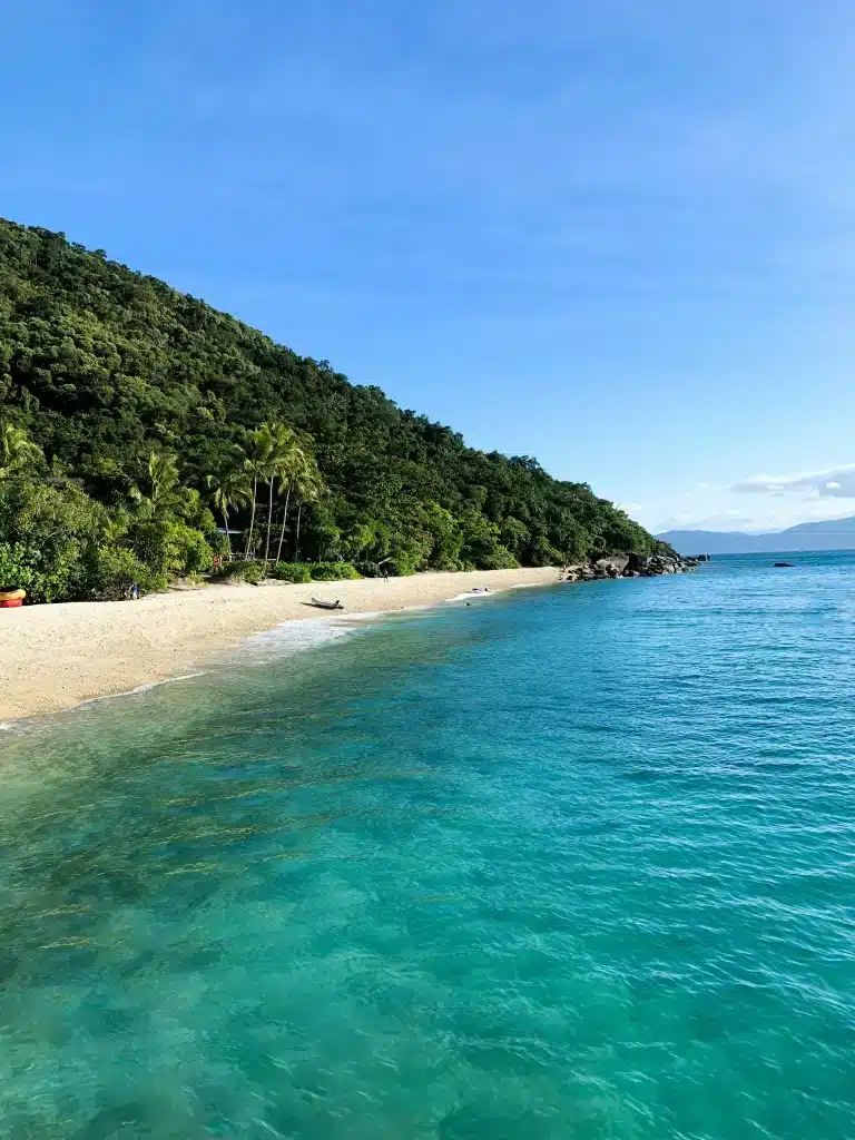 Strand met jungle en helder water in Australië