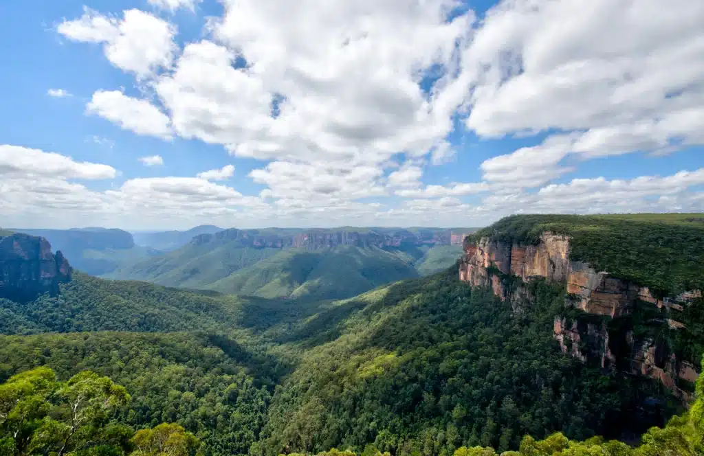 Lange kustlijn met golven en bos in Australië