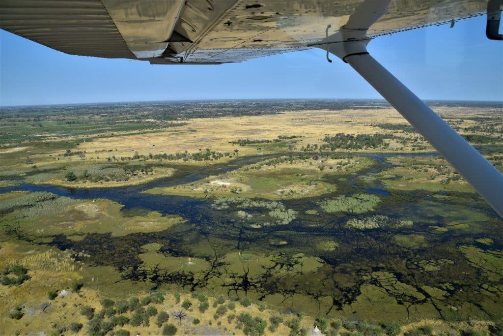 Luchtfoto van moerasland bij Maun in Botswana