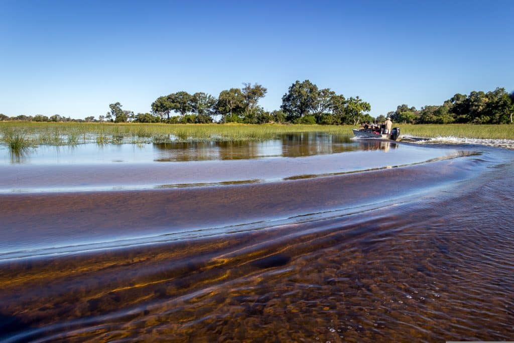 Boottocht door moerasachtig gebied in Okavango Delta