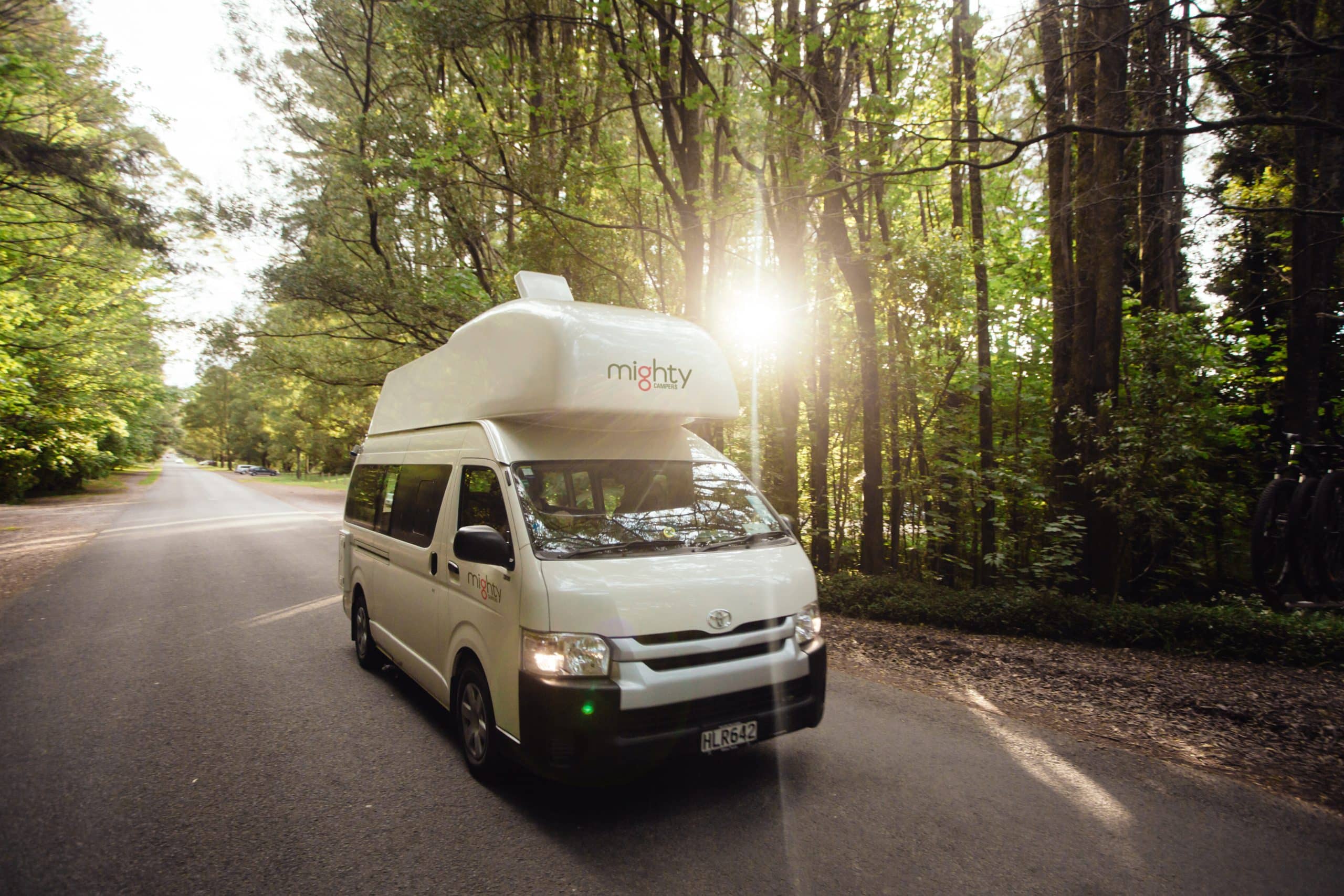 Camper op bosweg met zonlicht Nieuw-Zeeland