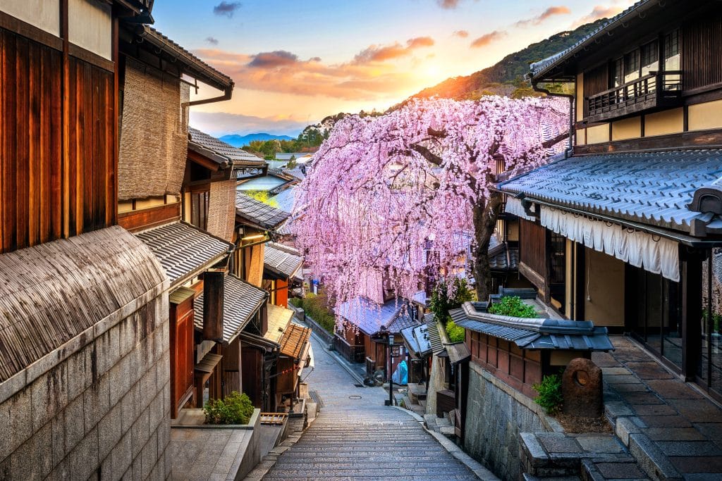 Straat in traditioneel district met bloesem, Japan