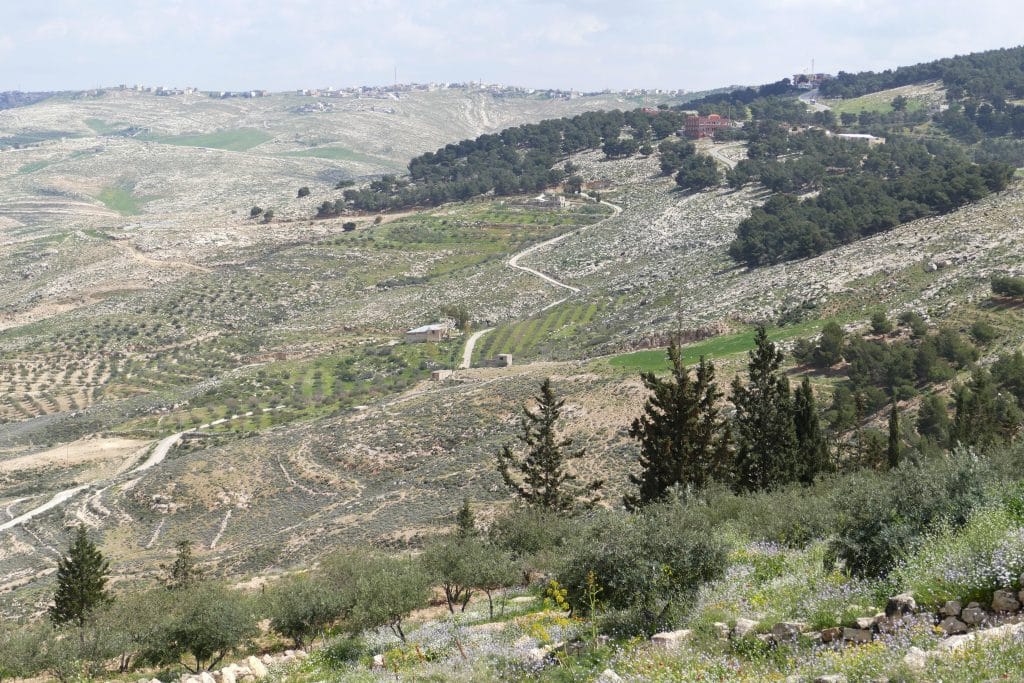 Heuvelachtig landschap bij Mount Nebo, Jordanië