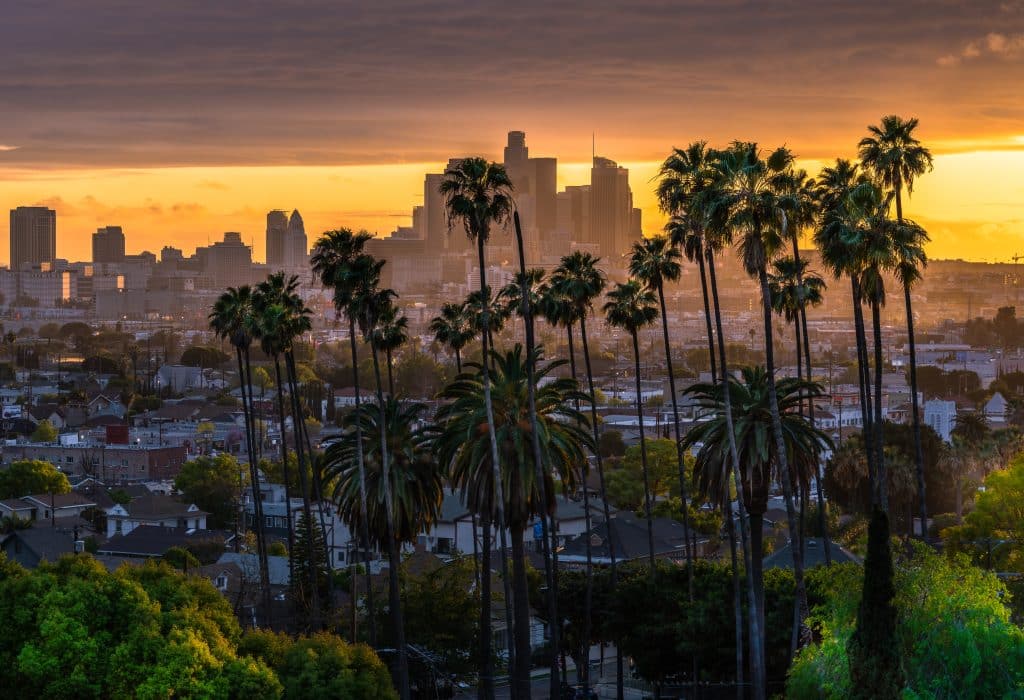 Skyline met palmbomen bij zonsondergang