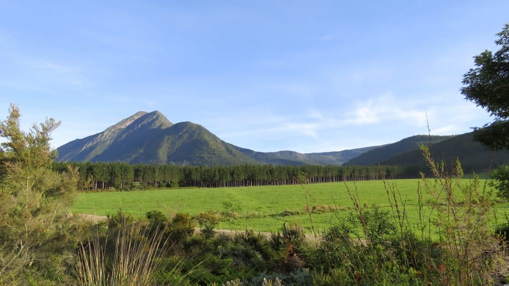 Groene vallei met bergen en bos bij Tsitsikamma, Zuid-Afrika