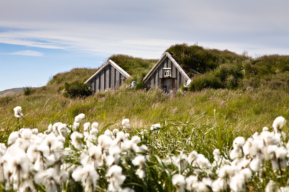 Turfboerderijen in grasland in IJsland