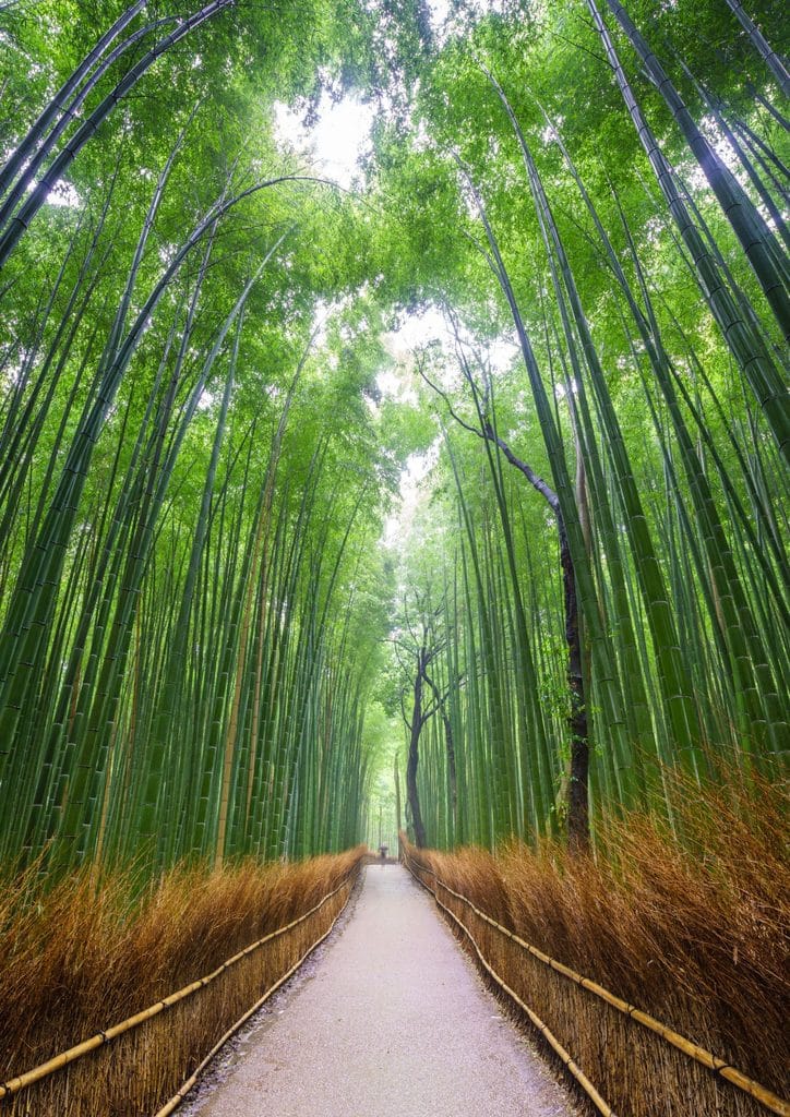 Arashiyama